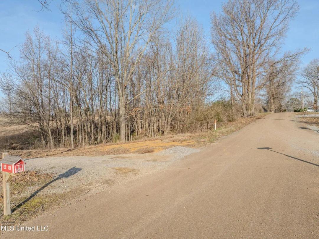 10.01 Acres of Land for Sale in Hernando, MS