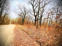 Untitled design (6)