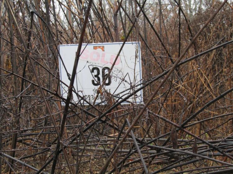 Lot 36 Lanis Rd