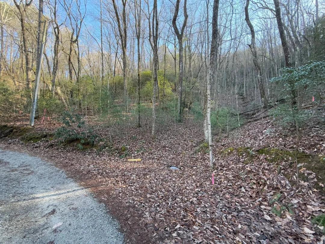 0 Arbutus Trail LOT 407, Clayton, GA 30525