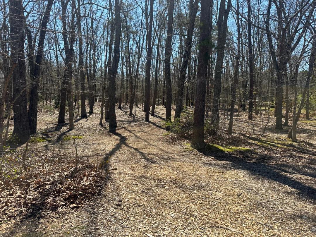 2.00 Acres at 0Block17401 Lot1 W Veterans Hwy