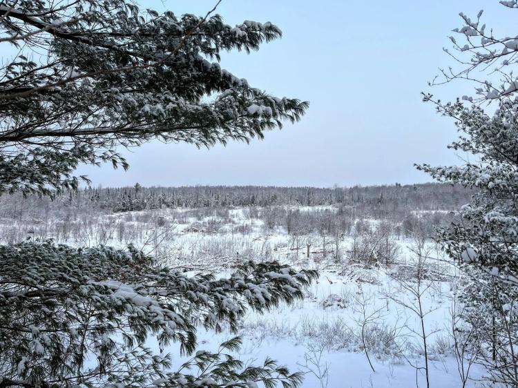 60 acre 4 Season Hunting Land Wilna NY