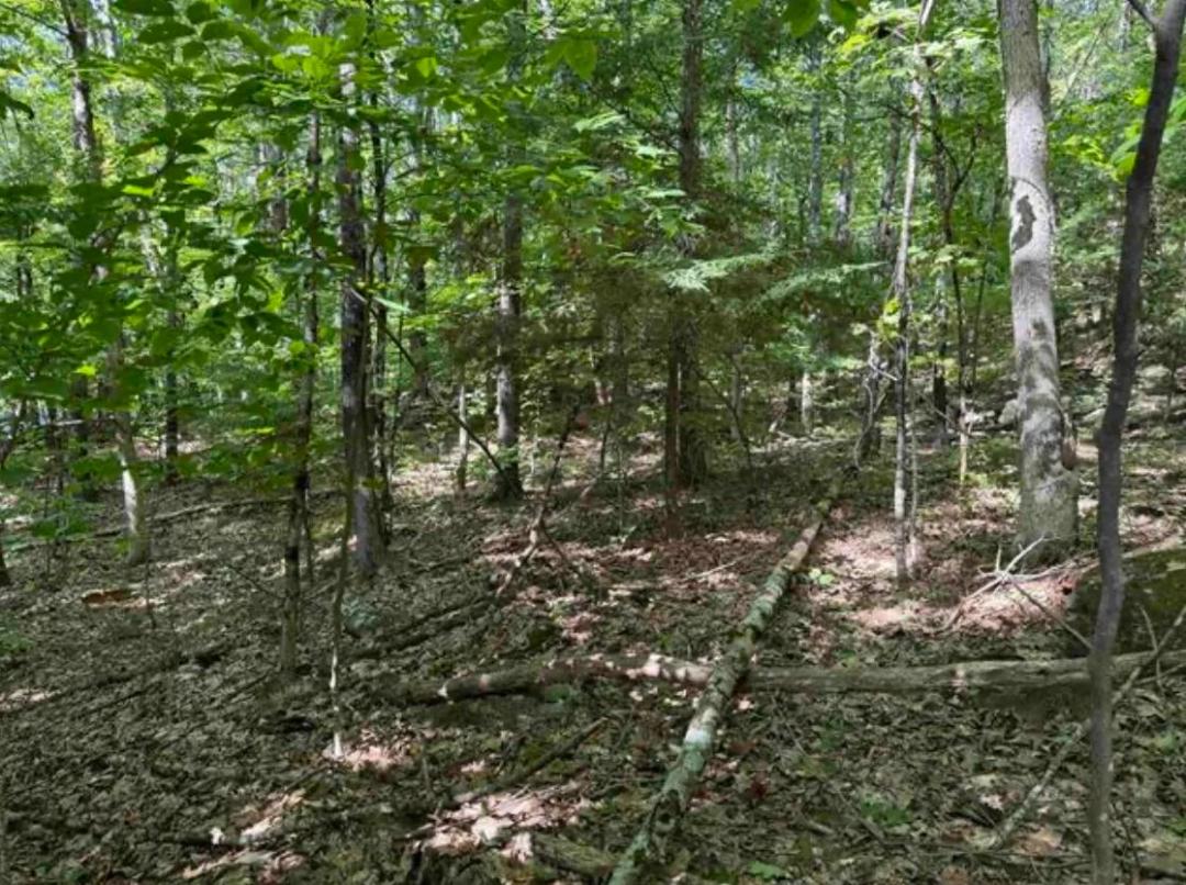 0.67 Acres at  Map 10 154,155,156 New Hampshire Drive