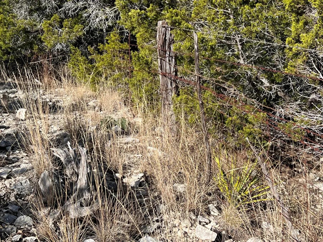 22296889-19