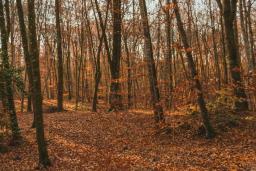 img_pexels-enric-cruz-lópez-6272182