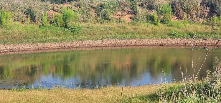 Texas Land for sale near San Angelo, Robert Lee, and Midland