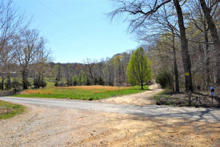 1.00 Acres at 224 Guy Young Road