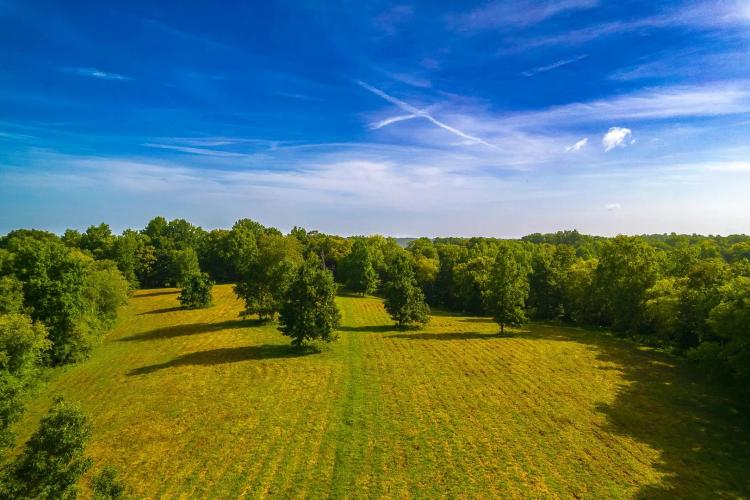 239+/- Acre Middle Tennessee Farm