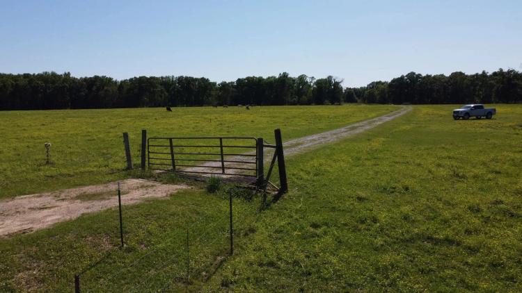 101.3 +/- acres Cornering Callahan Rd and Cypress Creek Rd, Oakdale La 71463