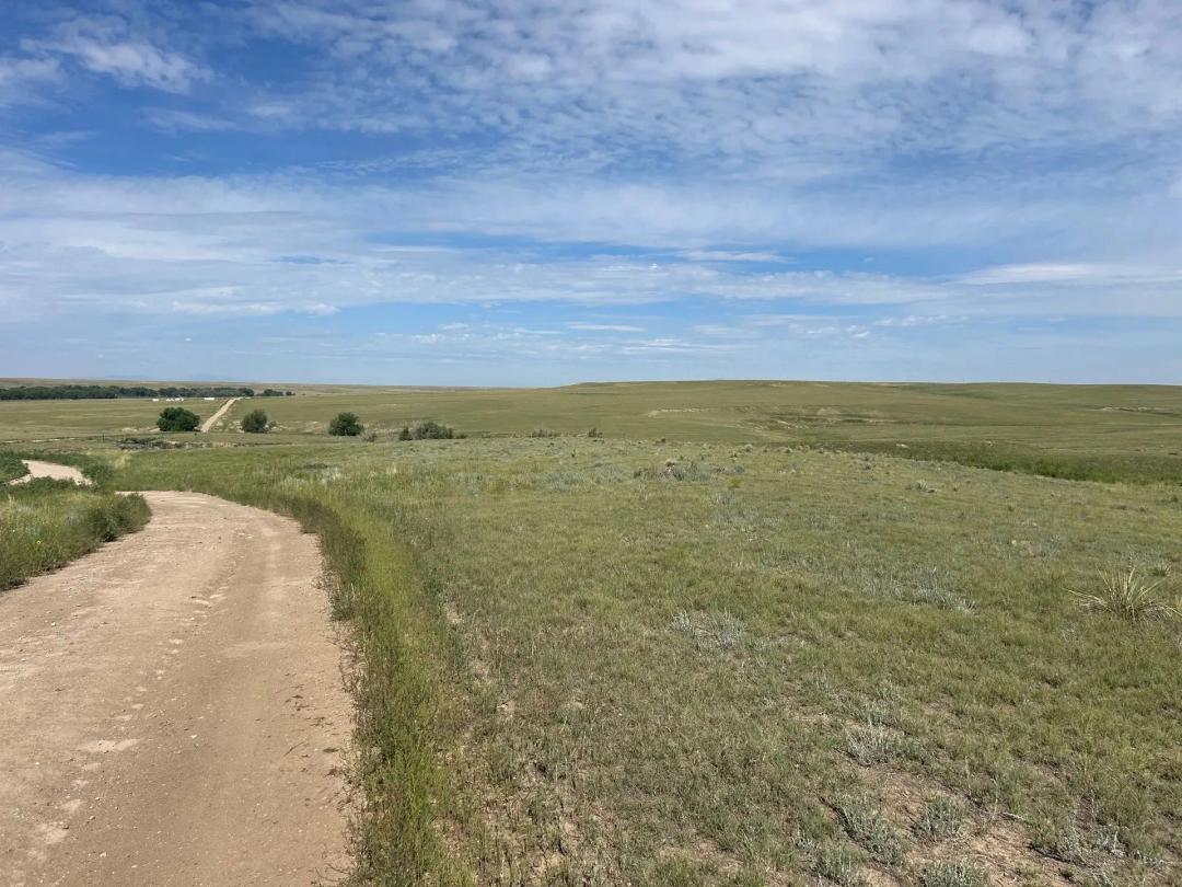 Land with a view