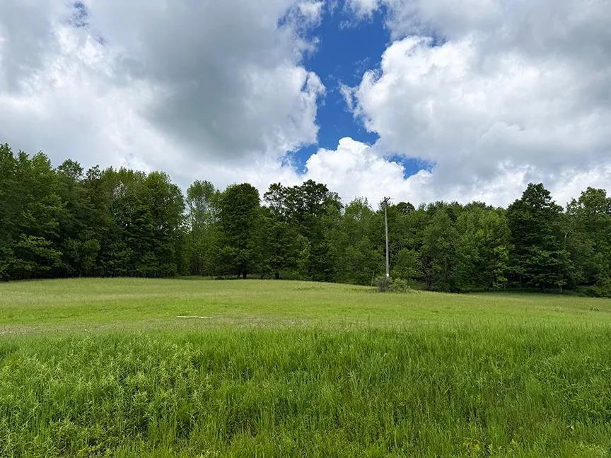 38.16 Acres at L 27.07 Hoke Rd