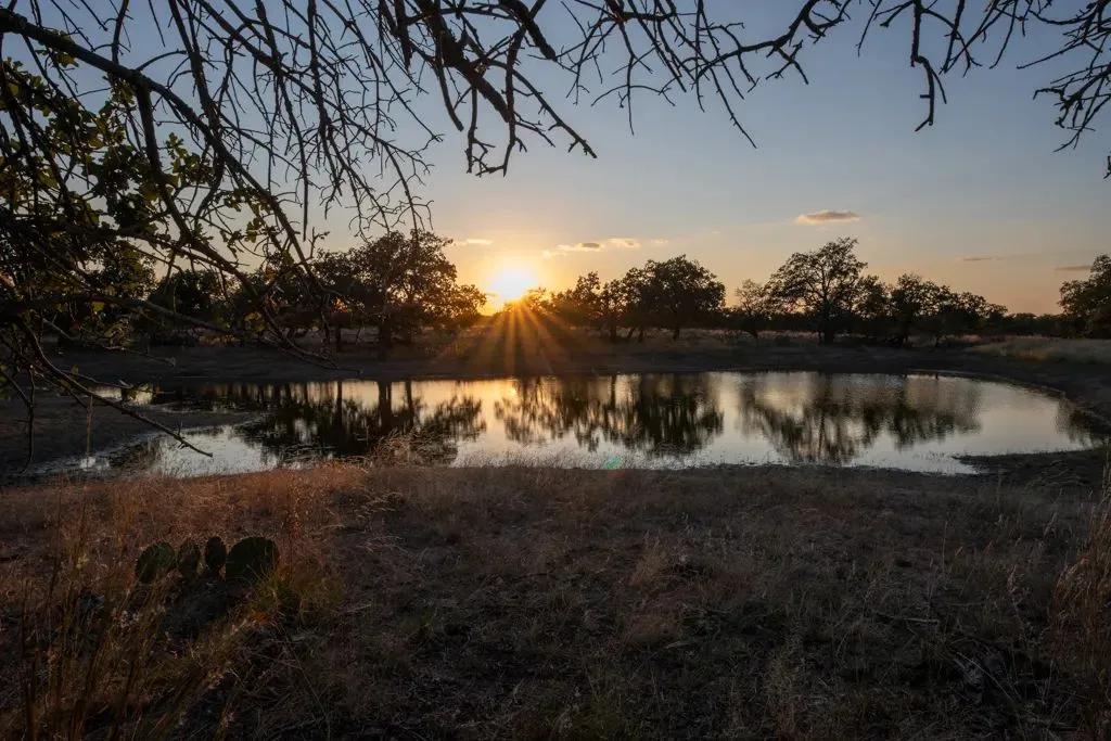 SHADY OAK RANCH 