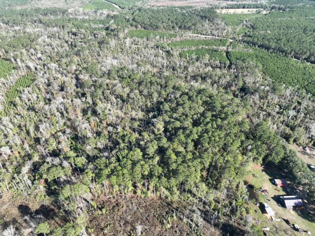 40.00 Acres at  O Red John Hilton Road