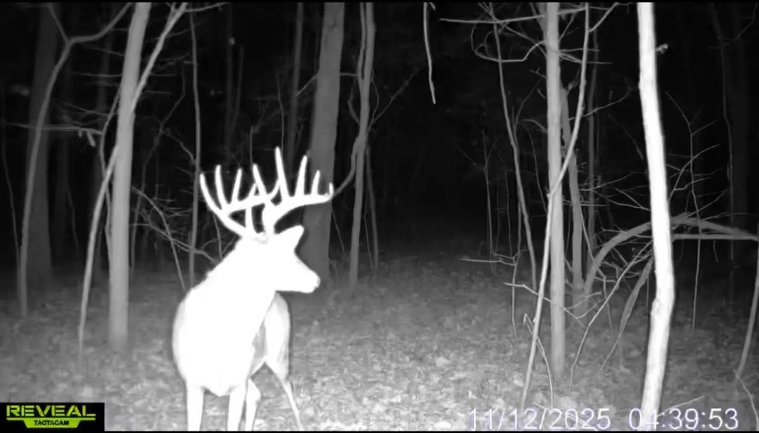 Secluded 20-Acre Tract w/Mature Timber, Hunting & Build Potential – Howard County
