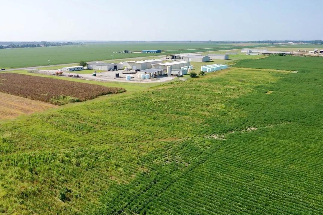 4+/- acres in Tensas Parish