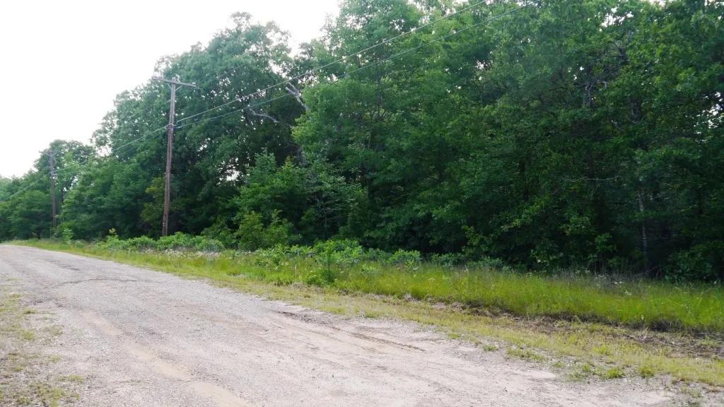 East Texas - Backs to small arm of Cedar Creek Lake - Lots of Trees