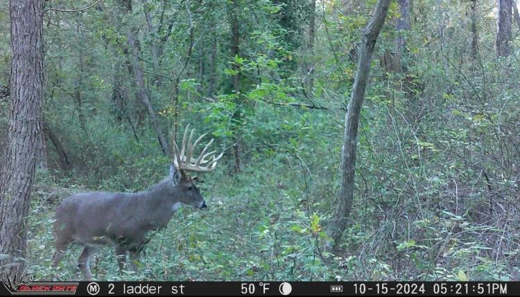60± Acre Hunting Tract For Sale – Franklin County 