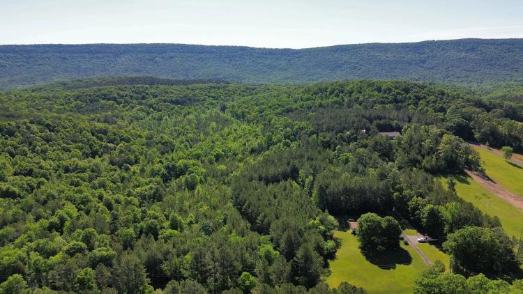 35 Acres in Walker County, GA 