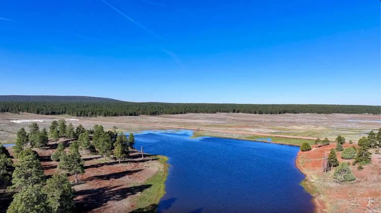 Bear Springs Ranch