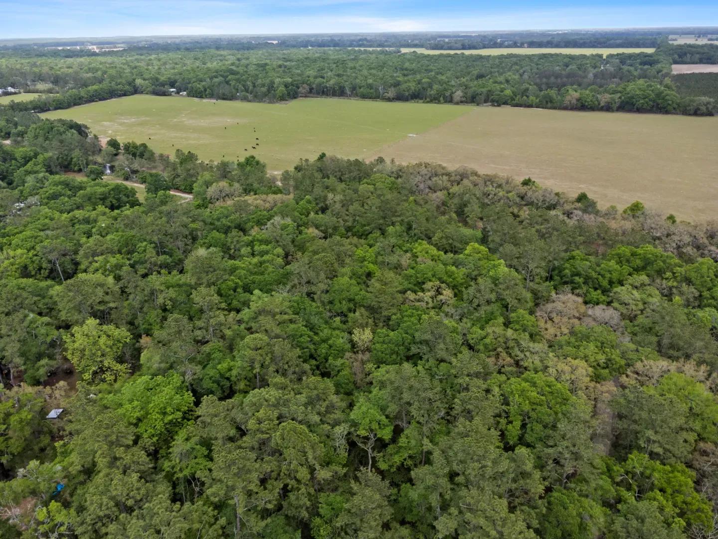 DJI_0409