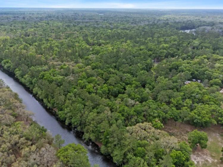 0.45 Wooded Acre Lot WITH POWER in Bell, Florida (Gilchrist County) with Gravel Road Access & Power Available For Just $299/Month!