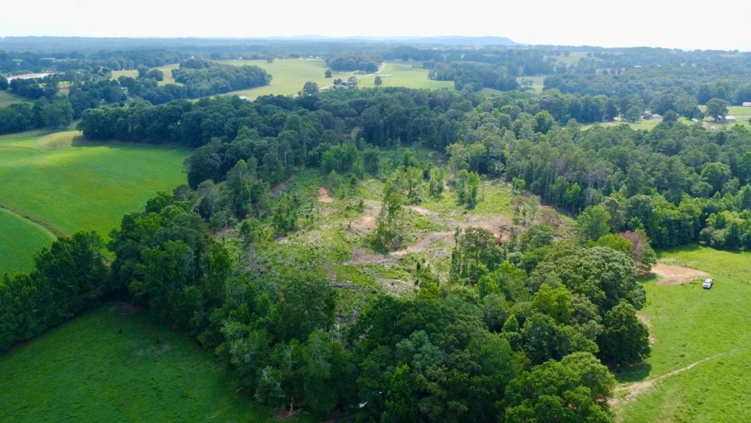 10 +/- Acres with Homesites and Creek in Ranburne, Alabama