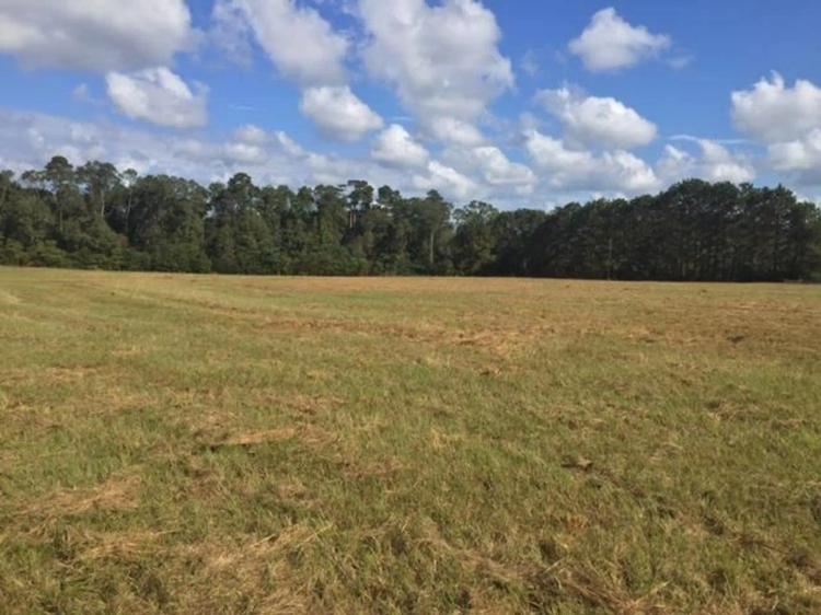 Prime Commercial or Residential Land for Sale Pike County MS
