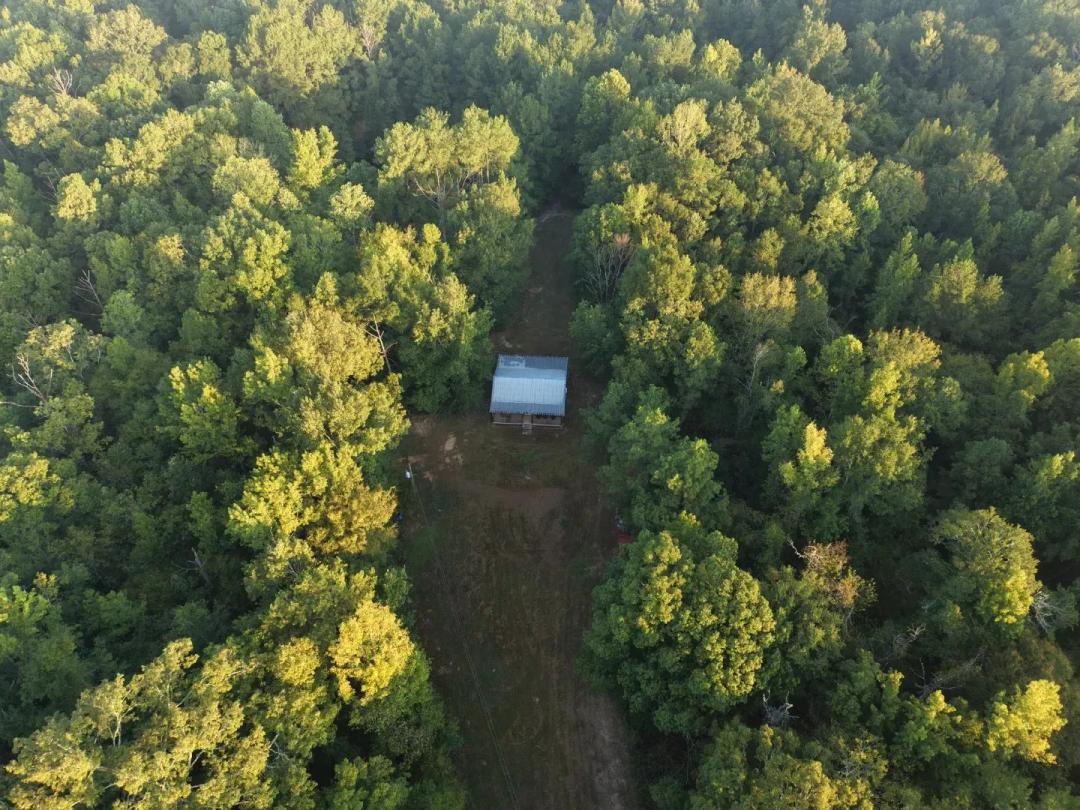 62 Acres with a Cabin in Franklin County, MS