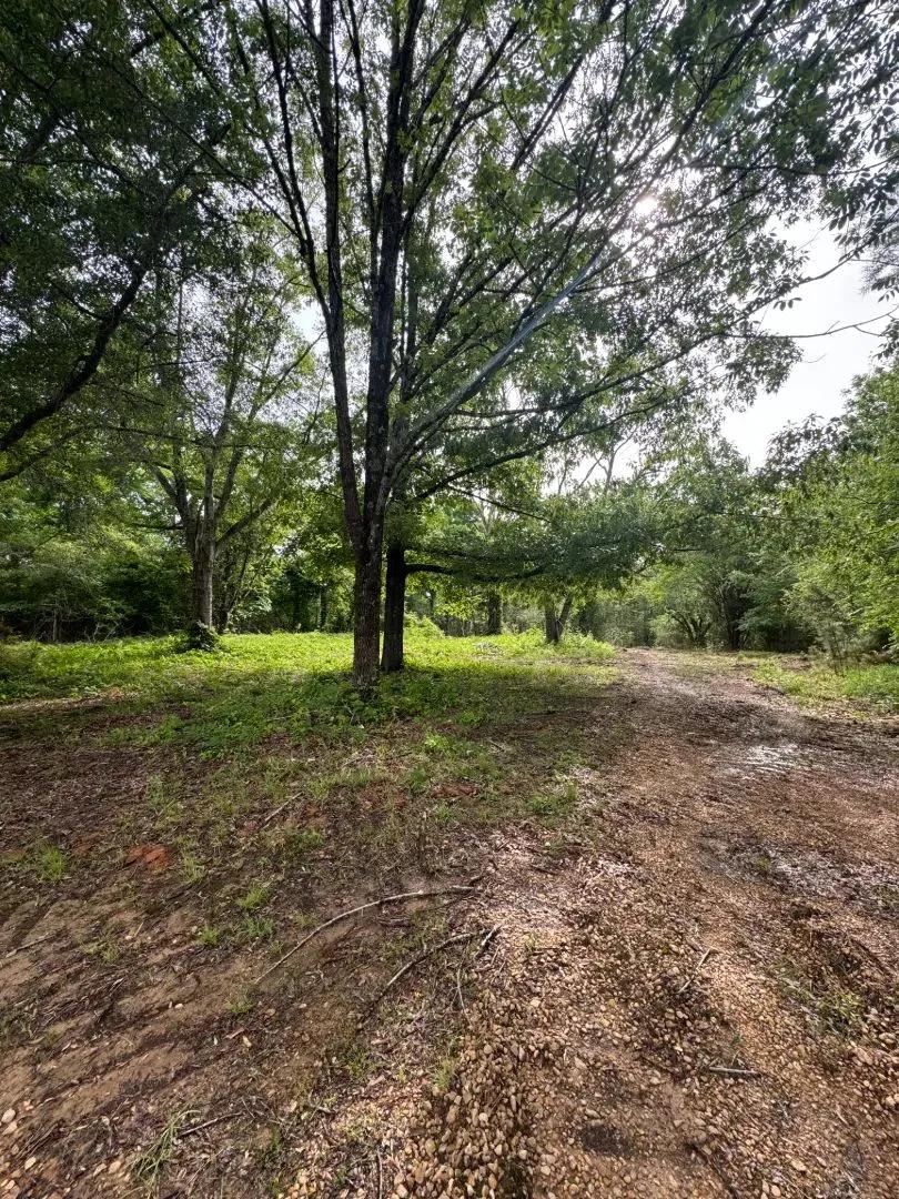 110 Acres in Calhoun County, MS 