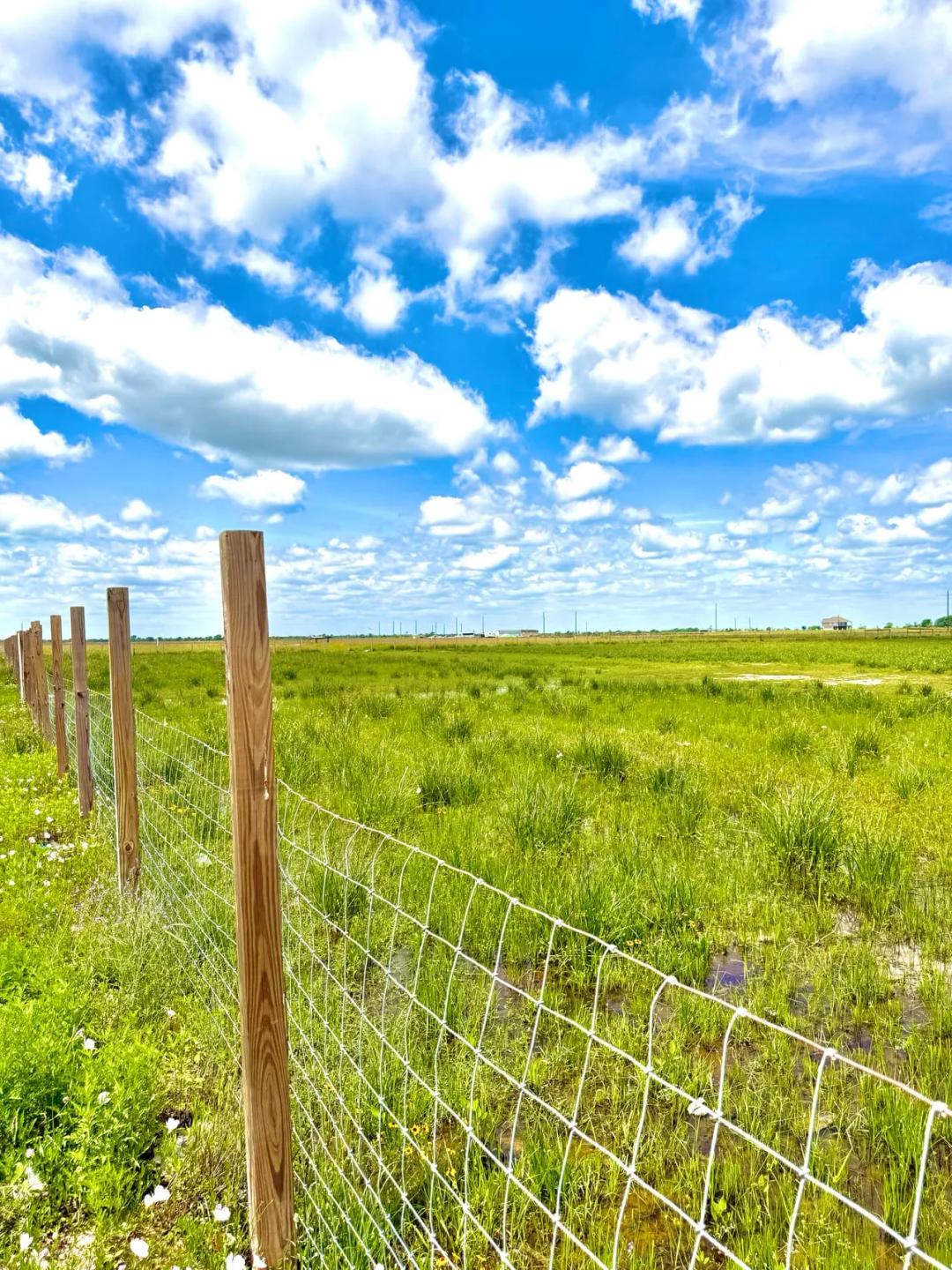 11.4 acres with pond, fence and privacy
