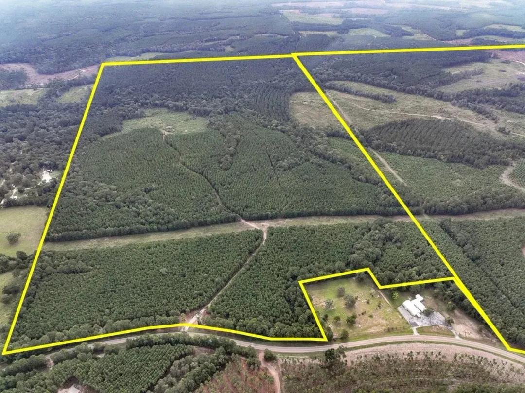 179 Acres | T-1 | Bar D Ranch