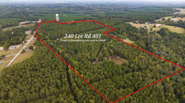 32 +/- AC, w/ Home and Pond Lee Co