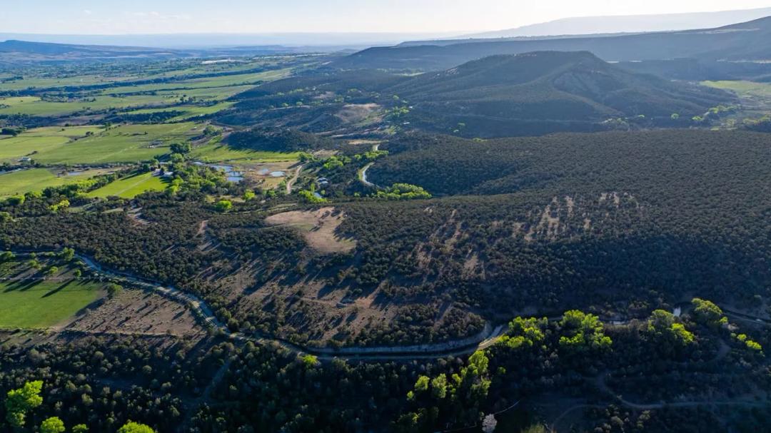 Jay Creek Hunting Ranch