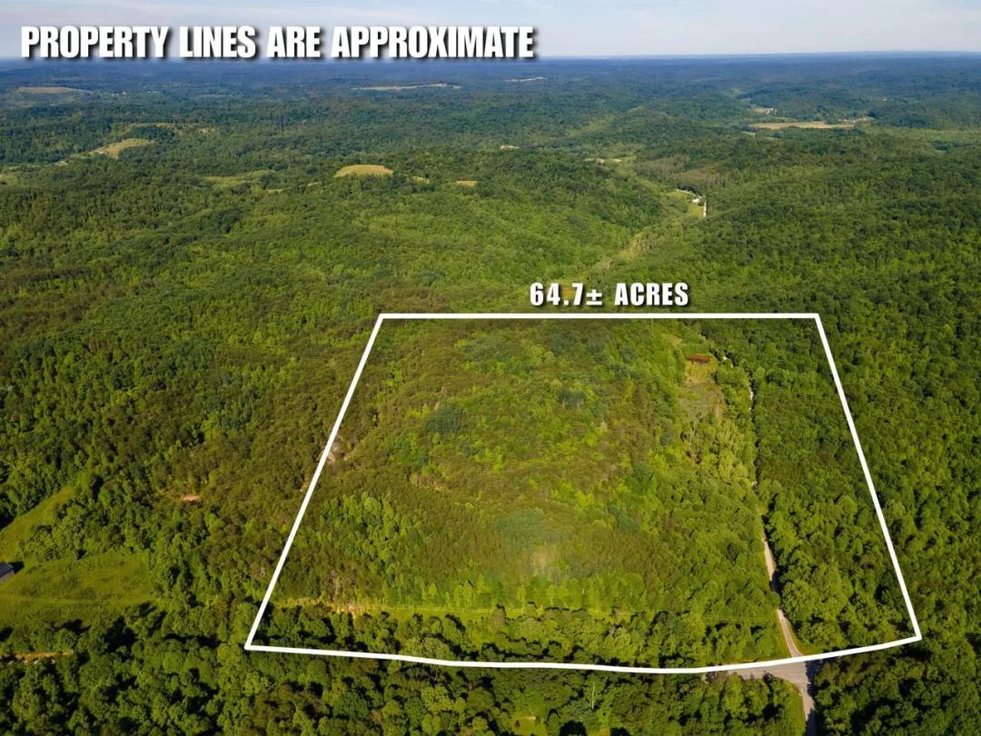 St Rt 141 Parcel 4 - 66 acres