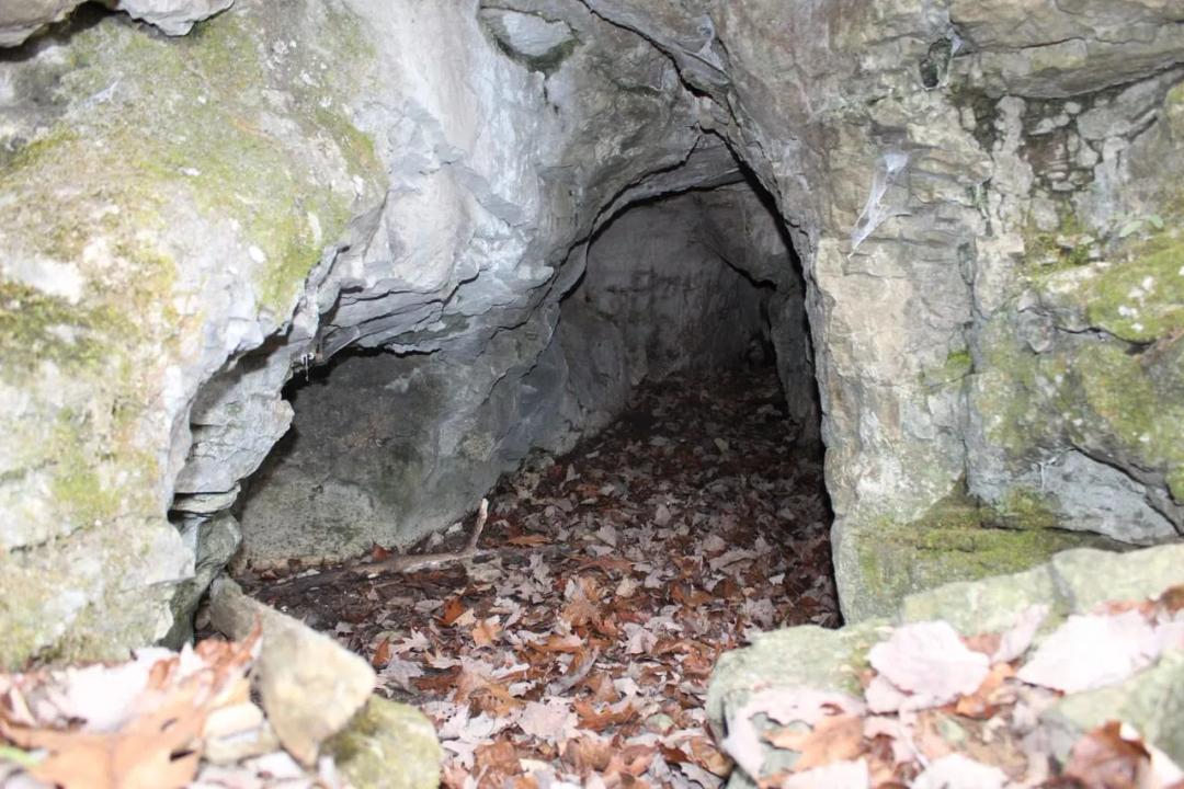 SECLUDED HUNTING PROPERTY!!!
