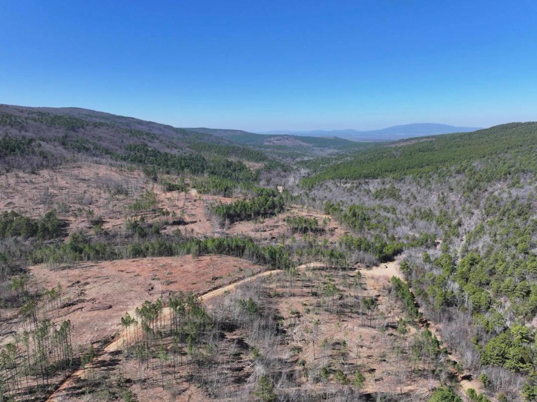 Southeast Oklahoma Timberland Property For Sale