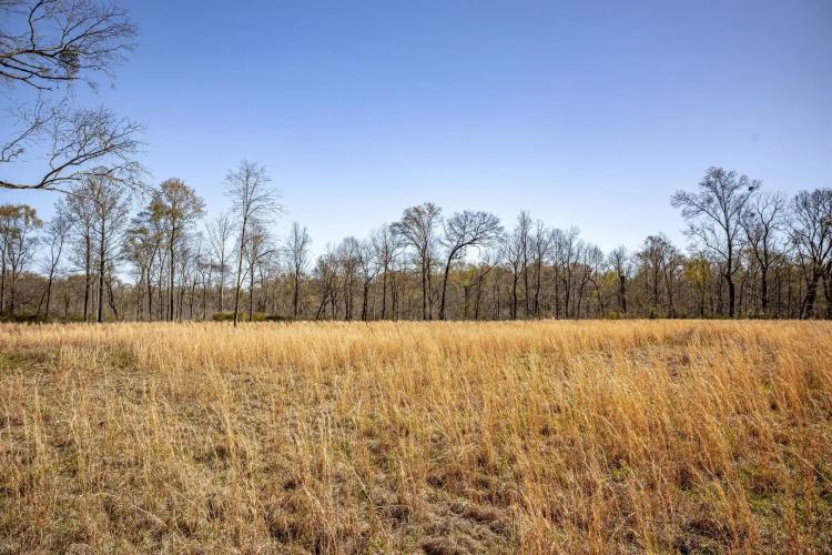 Timber, Creeks, Bucks, and Gobblers