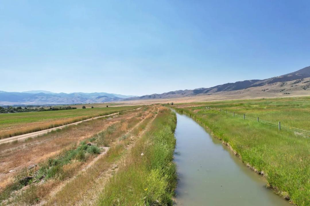 IRRIGATED land