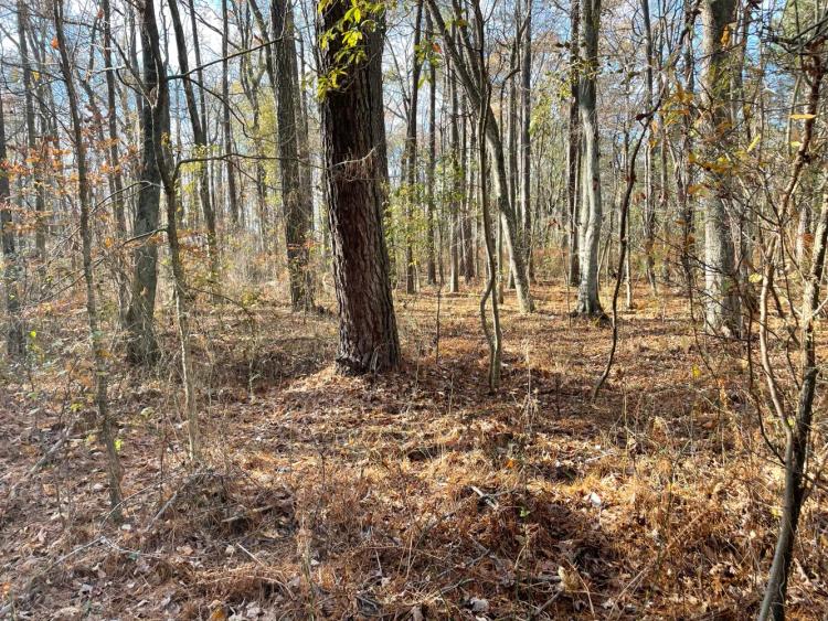 3.25 Acres at  0 Five Farms Dr