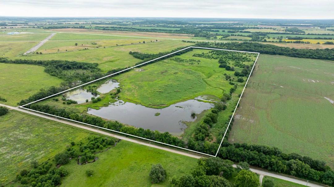 Managed Waterfowl Impoundment • Whitetail Refuge Edge • Airport