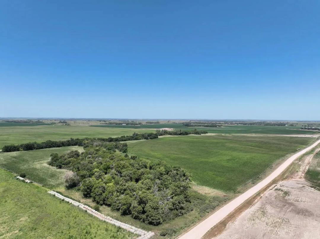 Irrigated Farm for Sale | 77+/- Acres | Howard County, NE
