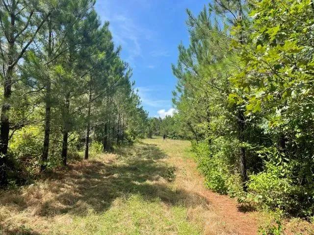 Smithville Tract