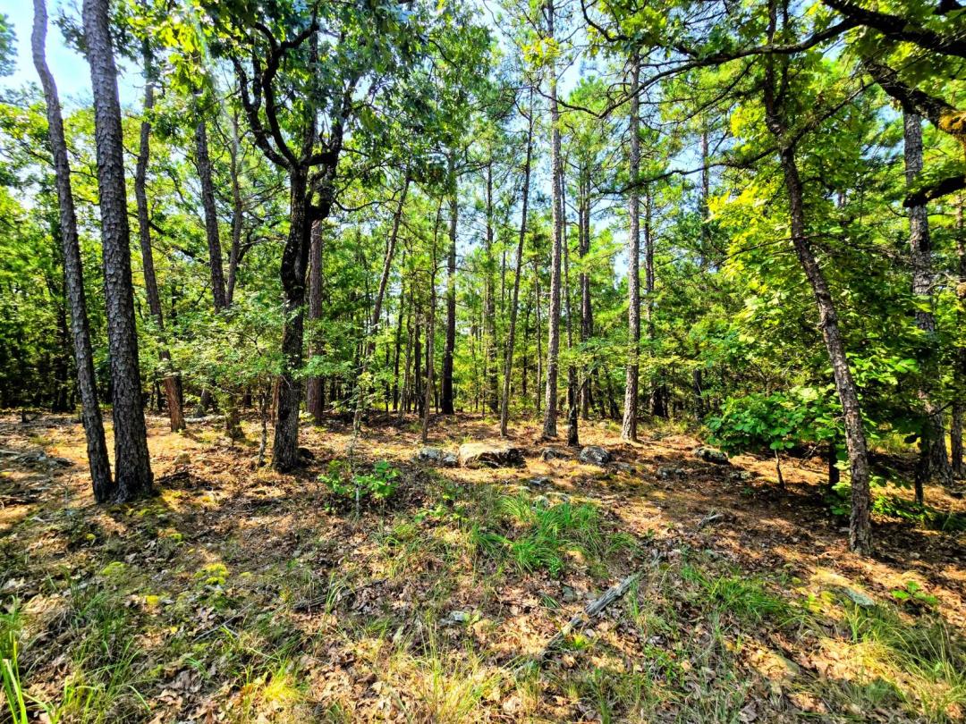 Your very own escape in Beautiful Kiamichi Valley