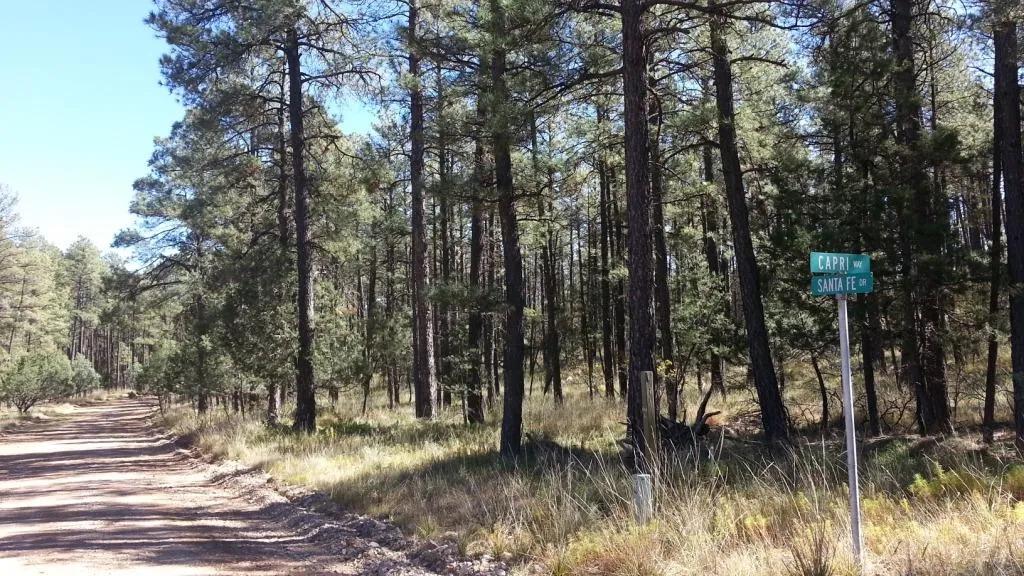 Park like settings * Big Trees * 1/2 acre of privacy