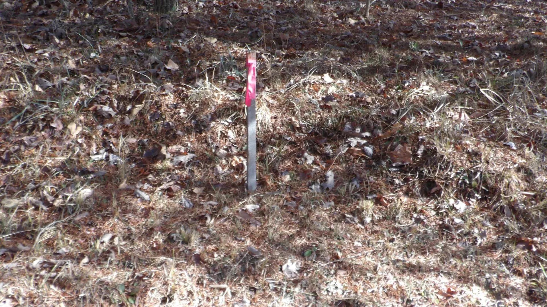 23075871-1