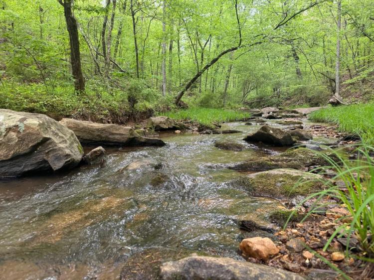 Hunting and Timber Land with Beautiful Streams