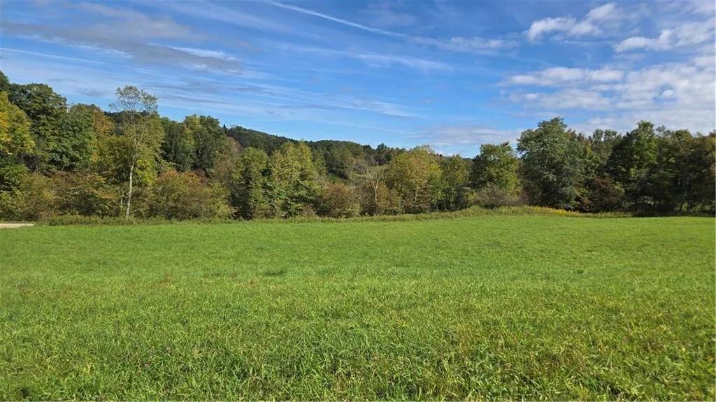 22.29 Acres at 244 Backus Road