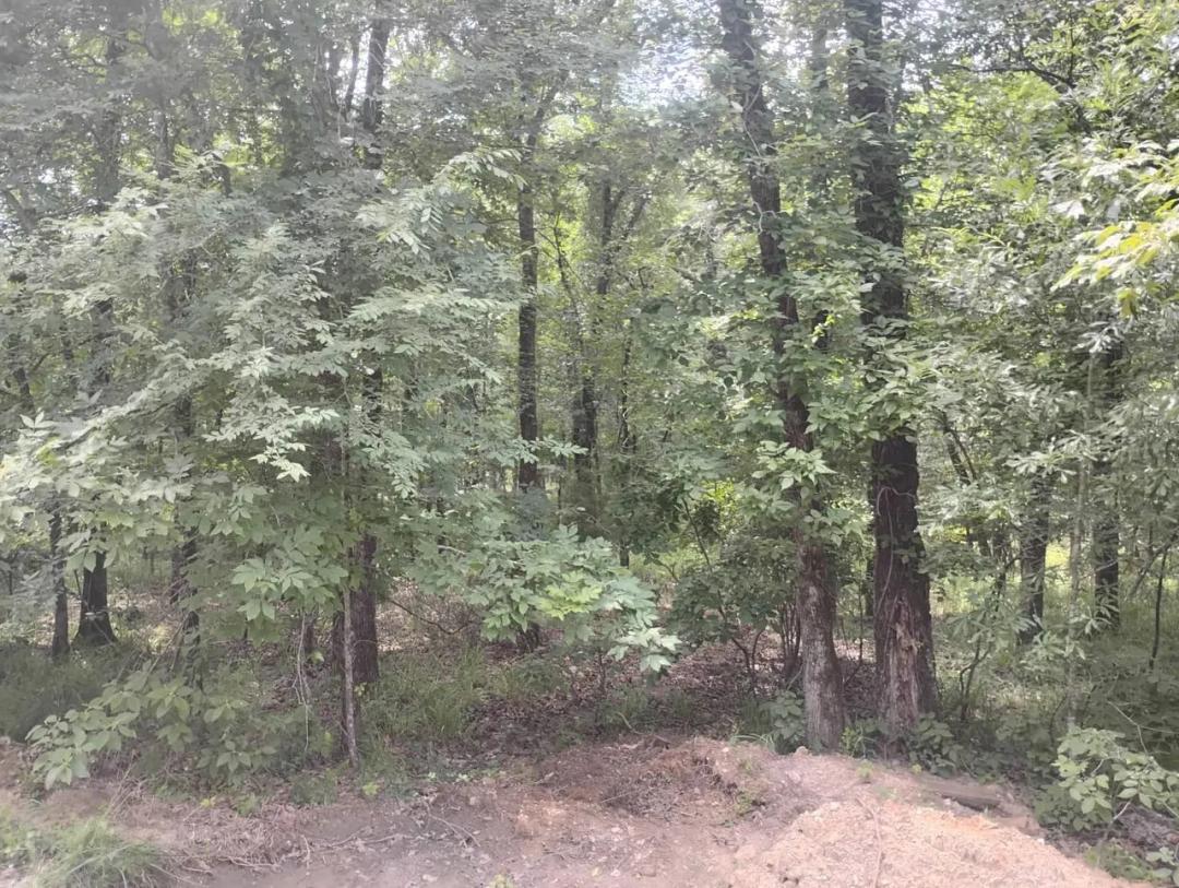 Cabin building lot in Resort town of Hochatown Ok 
