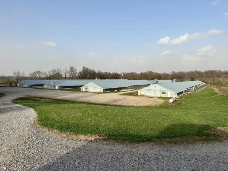Neal Broiler Farm — 4-House Broiler Operation in McLean County, KY