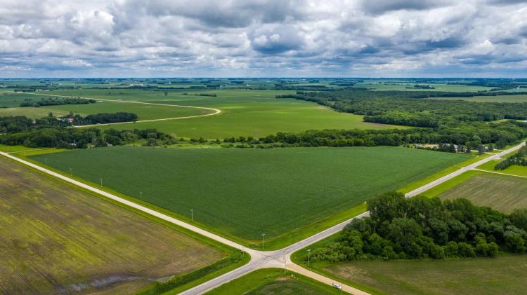 120.23+/- Acres of Farmland - Blooming Prairie - Dodge County - Westfield Township - Minnesota